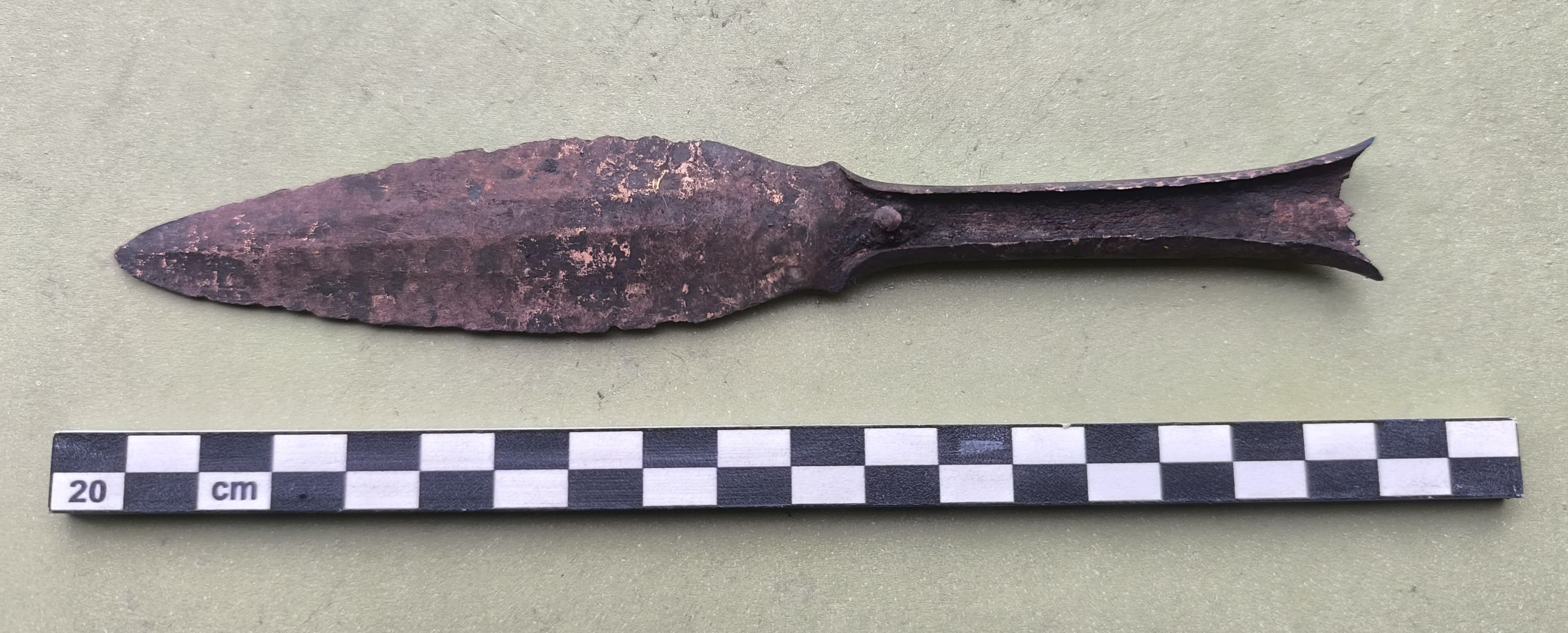 Fig. 1   Pugnale in bronzo dallo scavo del villaggio terramaricolo